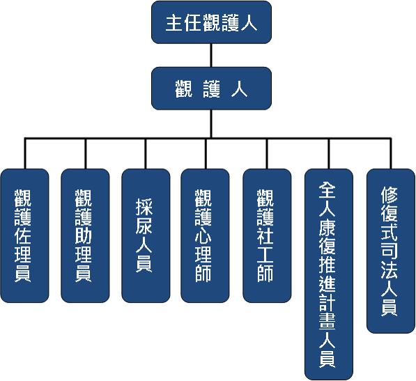 組織圖